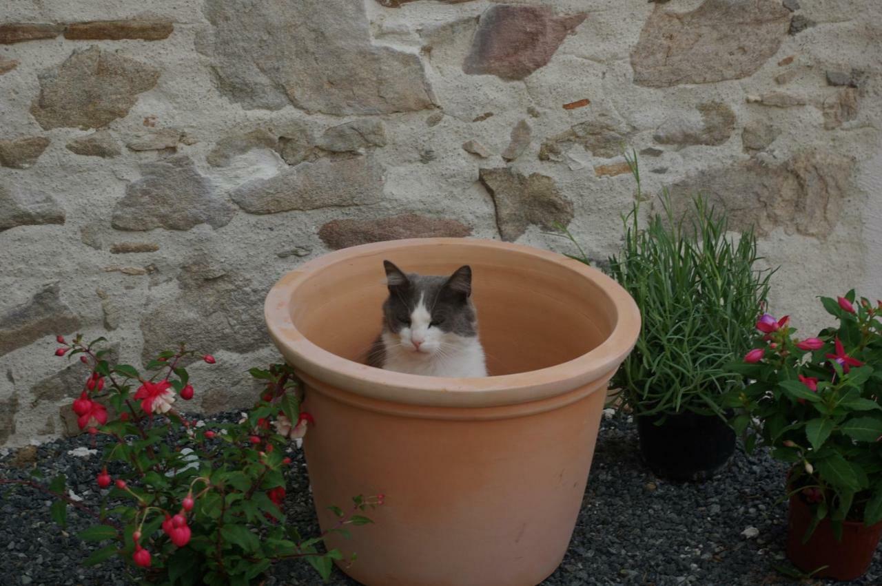 Les Trois Etangs Bed and Breakfast Saint-Viaud Exterior foto